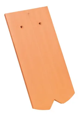 52990.1.jpg