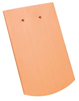 52978.1.jpg