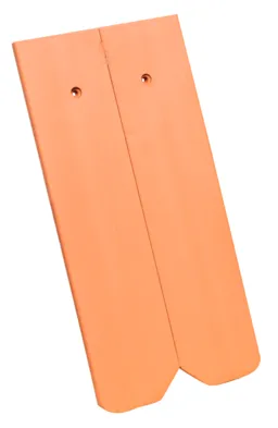 119370.1.jpg