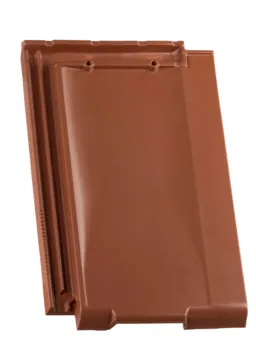 300363.jpg